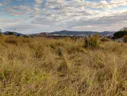 FAZENDA 32HA, DENTRO DE PARÁ DE MINAS, ÓTIMA PARA LOTEAMENTO.