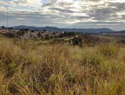 FAZENDA 32HA, DENTRO DE PARÁ DE MINAS, ÓTIMA PARA LOTEAMENTO.