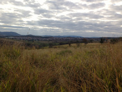 FAZENDA 32HA, DENTRO DE PARÁ DE MINAS, ÓTIMA PARA LOTEAMENTO.