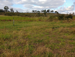 FAZENDA 32HA, DENTRO DE PARÁ DE MINAS, ÓTIMA PARA LOTEAMENTO.