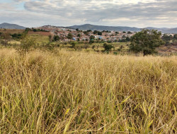 FAZENDA 32HA, DENTRO DE PARÁ DE MINAS, ÓTIMA PARA LOTEAMENTO.