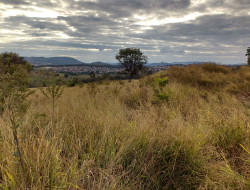 FAZENDA 32HA, DENTRO DE PARÁ DE MINAS, ÓTIMA PARA LOTEAMENTO.