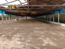 FAZENDA 32HA, DENTRO DE PARÁ DE MINAS, ÓTIMA PARA LOTEAMENTO.