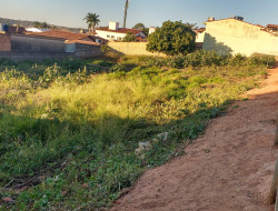 VENDE-SE  LOTES RUA OIAPOQUE