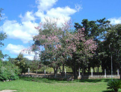 SITIO 10,5 HA  A 15KM DE PARÁ DE MINAS PERTO DOS PENHAS