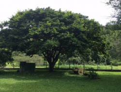 SITIO 10,5 HA  A 15KM DE PARÁ DE MINAS PERTO DOS PENHAS