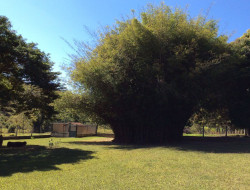 SITIO 10,5 HA  A 15KM DE PARÁ DE MINAS PERTO DOS PENHAS