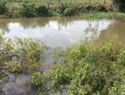 SITIO 10,5 HA  A 15KM DE PARÁ DE MINAS PERTO DOS PENHAS