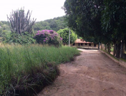 SITIO 10,5 HA  A 15KM DE PARÁ DE MINAS PERTO DOS PENHAS
