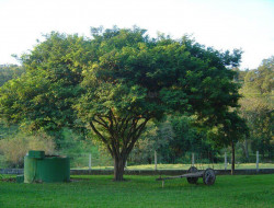 SITIO 10,5 HA  A 15KM DE PARÁ DE MINAS PERTO DOS PENHAS