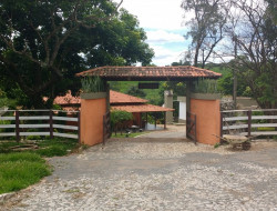 FAZENDA 10HA EM PEQUI