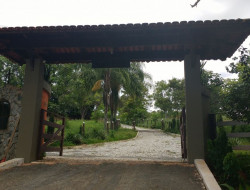 FAZENDA 10HA EM PEQUI