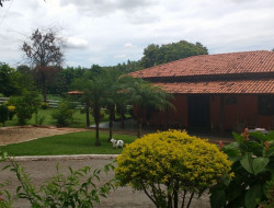 FAZENDA 10HA EM PEQUI