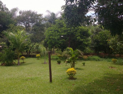 FAZENDA 10HA EM PEQUI