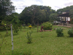 FAZENDA 10HA EM PEQUI