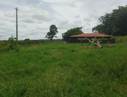 FAZENDA 10HA EM PEQUI