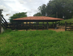 FAZENDA 10HA EM PEQUI