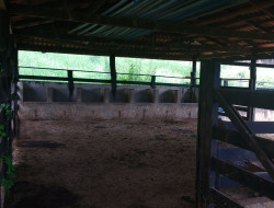 FAZENDA 10HA EM PEQUI