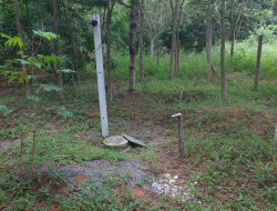 FAZENDA 10HA EM PEQUI