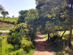 FAZENDA EM VILAÇA/ PEQUI 52 Ha