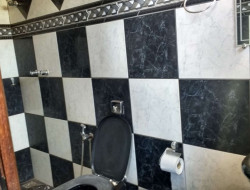 FAZENDA EM VILAÇA/ PEQUI 52 Ha