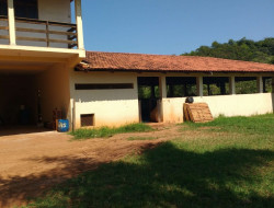 FAZENDA EM VILAÇA/ PEQUI 52 Ha