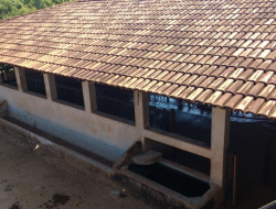 FAZENDA EM VILAÇA/ PEQUI 52 Ha