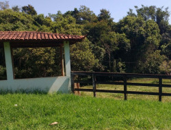 FAZENDA EM VILAÇA/ PEQUI 52 Ha