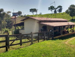 FAZENDA EM VILAÇA/ PEQUI 52 Ha