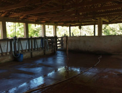 FAZENDA EM VILAÇA/ PEQUI 52 Ha