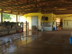 FAZENDA EM VILAÇA/ PEQUI 52 Ha