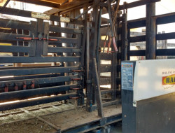 FAZENDA EM VILAÇA/ PEQUI 52 Ha