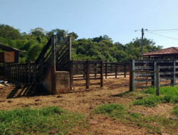 FAZENDA EM VILAÇA/ PEQUI 52 Ha