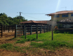 FAZENDA EM VILAÇA/ PEQUI 52 Ha