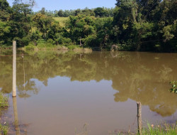 FAZENDA EM VILAÇA/ PEQUI 52 Ha