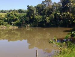 FAZENDA EM VILAÇA/ PEQUI 52 Ha