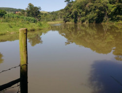 FAZENDA EM VILAÇA/ PEQUI 52 Ha