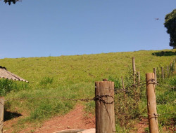 FAZENDA EM VILAÇA/ PEQUI 52 Ha