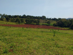 FAZENDA EM VILAÇA/ PEQUI 52 Ha
