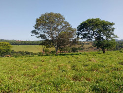 FAZENDA EM VILAÇA/ PEQUI 52 Ha