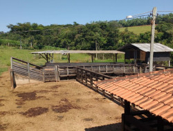 FAZENDA EM VILAÇA/ PEQUI 52 Ha
