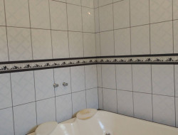 FAZENDA EM VILAÇA/ PEQUI 52 Ha