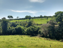 FAZENDA EM VILAÇA/ PEQUI 52 Ha