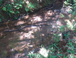 FAZENDA EM VILAÇA/ PEQUI 52 Ha