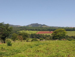 FAZENDA EM VILAÇA/ PEQUI 52 Ha