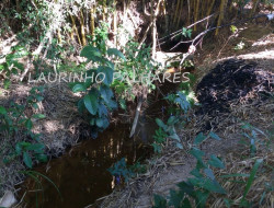 FAZENDA A 7KM DE PARÁ DE MINAS