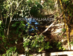 FAZENDA A 7KM DE PARÁ DE MINAS