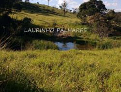 FAZENDA A 7KM DE PARÁ DE MINAS