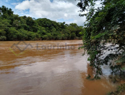 FAZENDA EM VELHO DA TAIPA / PITANGUI