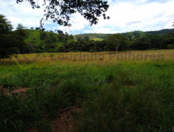FAZENDA EM VELHO DA TAIPA / PITANGUI
